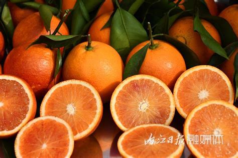 资中塔罗科血橙,蔬菜水果,食品餐饮,摄影素材,汇图网www.huitu.com