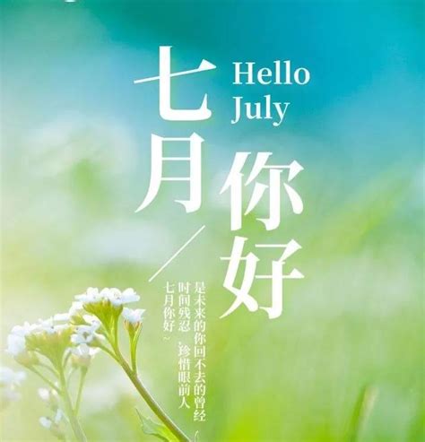 七月第一天文案佛系（关于七月唯美句子，盛夏经典祝福语文案） | 说明书网