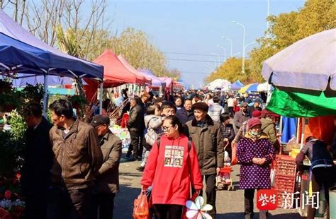 南京高淳古柏韩村庙会集市人气旺