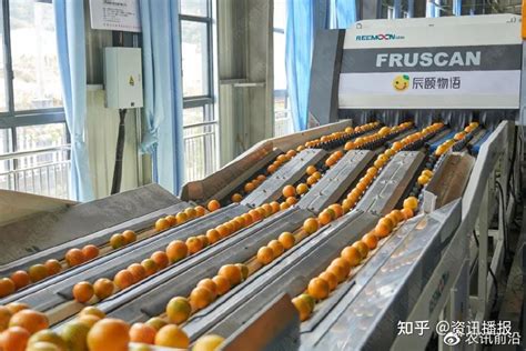 辰颐物语用科技助力秭归夏橙产业发展 - 知乎