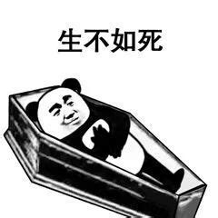 生不如死图片