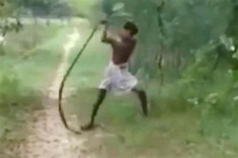印度一男童被蛇咬死 其父徒手杀毒蛇报仇(图) - 永嘉网