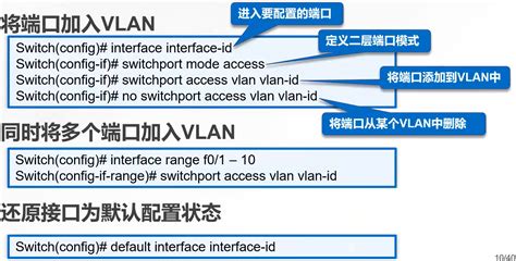 【网络基础知识】VLAN技术介绍（详细）-CSDN博客