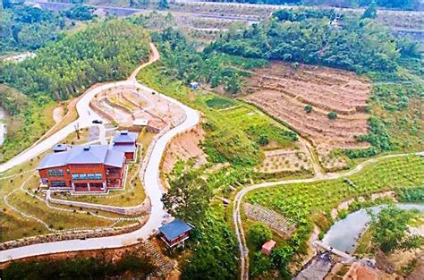 龙海双第华侨农场的“生态+”发展之路_建设