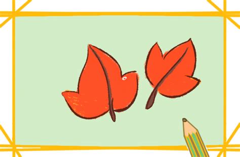 简笔画大全花草树木之枫叶的画法图解 肉丁儿童网
