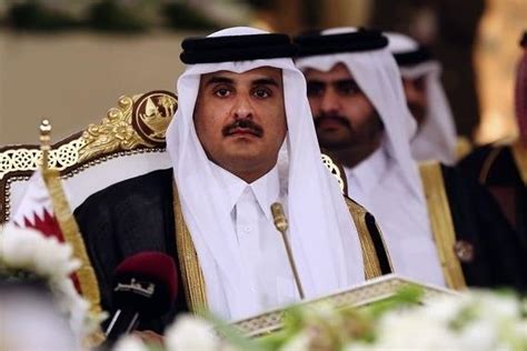 卡塔尔埃米尔塔米姆出席哈马德港正式启用仪式-运去哪