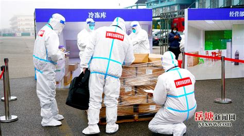 上海冷链、隔离点重点人群新冠疫苗接种有序推进，7.5万冷链食品从业人员“撸袖接种”
