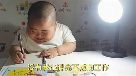 肥仔图片