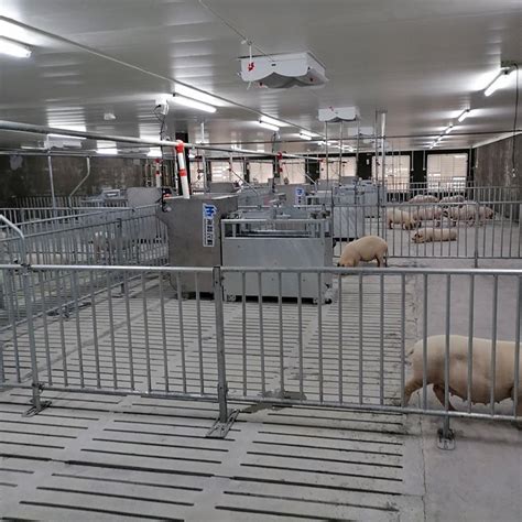 种猪测定站 生产性能测定系统 养猪场设备 南商农科