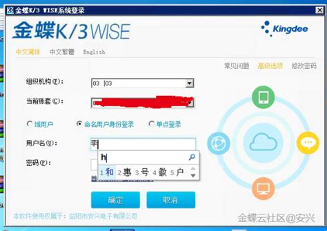 K3 wise使用瑞友天翼虚拟化终端无法输入汉字