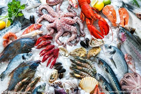 海鲜大排档海产餐饮自助logo标志vi模板-包图网