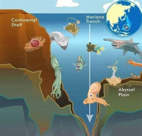 海洋最深处有多少米 有多恐怖？-公考网