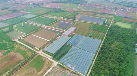 鄂州市级以上示范新型农业经营主体达139家_长江云 - 湖北网络广播电视台官方网站