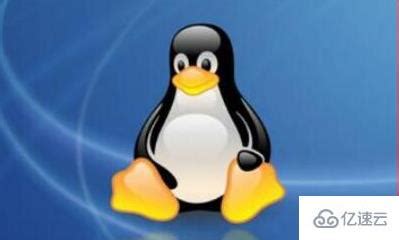 常用的Linux服务器操作系统有哪些 - 建站服务器 - 亿速云