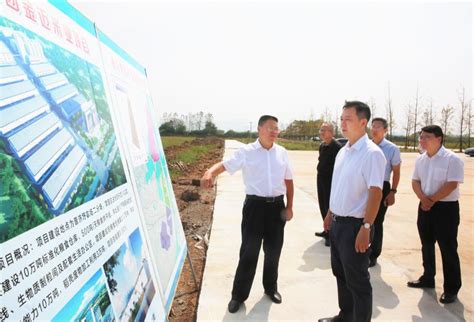 最新航拍！江北新区重大项目建设进展曝光|第一高楼|南京市|绿地_新浪新闻