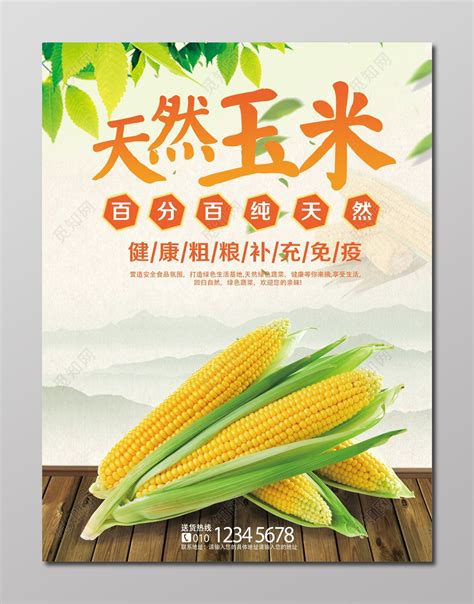百分百纯天然玉米粮食农产品海报图片下载 - 觅知网