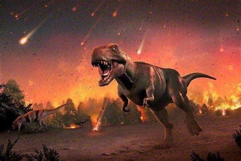 莱阳发现的恐龙为啥叫“青岛龙” - 化石网