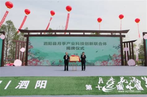 厉害了！江苏省首个科技创新联合体在泗阳县成立_我苏网