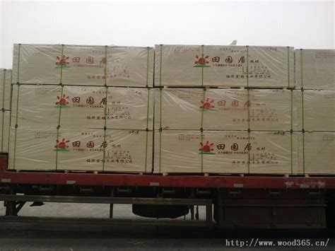 文安县：打造中国北方绿色人造板产业基地_中国木材保护工业协会