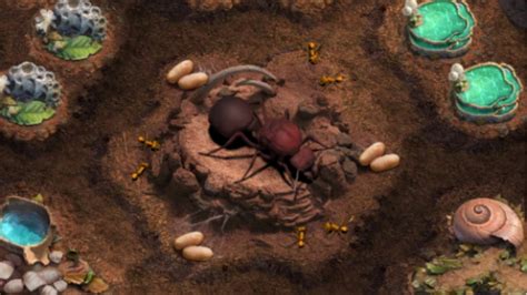 小小蚁国蚁王之战怎么玩 蚁王之战玩法攻略详解 - 小小蚁国-送极品蚂蚁攻略-小米游戏中心
