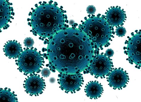 疫情科普 | 冠状病毒是怎样攻击人体的？ - 知乎