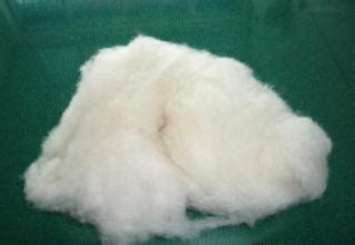 绵羊绒和山羊绒有什么区别 - 业百科