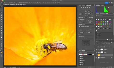 Photoshop Has Become a Lot More Powerful Thanks to Brand New Generative ...