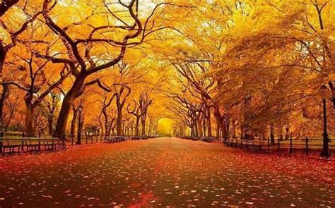 秋天来了的优美句子大全 一句话形容秋天来的说说 _八宝网