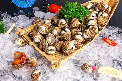 海产品大全图片