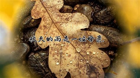 秋雨绵绵的唯美文案，适合秋天下雨发朋友圈的句子_腾讯视频