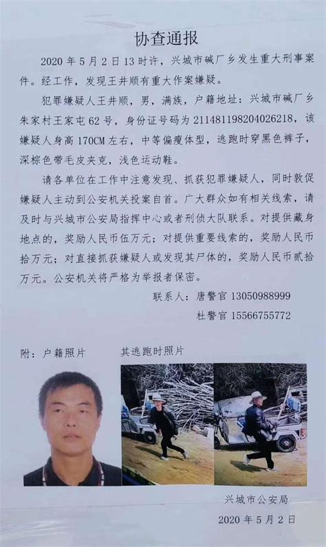 辽宁葫芦岛兴城市碱厂乡发生重大刑事案件，嫌疑人已被抓获