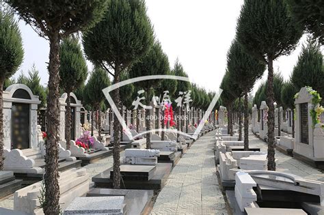 天慈公墓一个双人墓穴多少钱-来选墓网