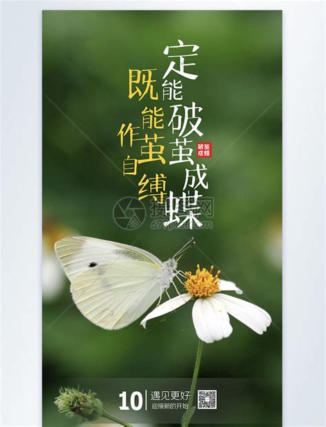 破茧成蝶励志摄影海报模板素材-正版图片401801916-摄图网