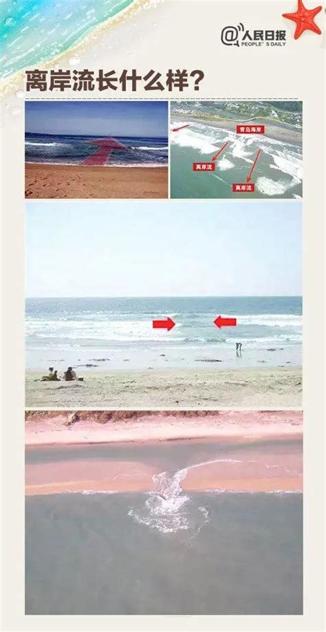 上海4岁女童海滩离奇失踪事件，最重要的一点被彻底忽略了！__财经头条