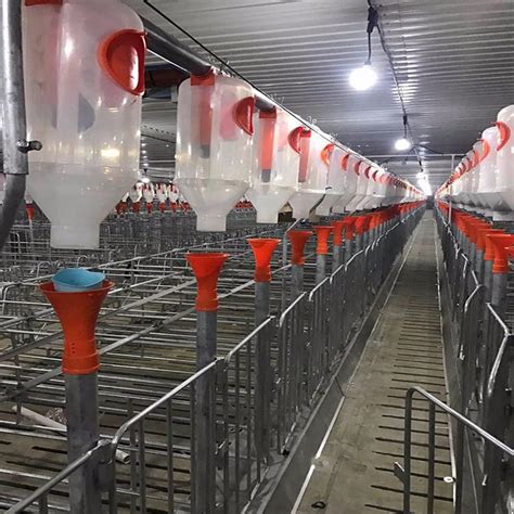 山东正红-畜牧养殖猪用输送养殖设备-自动化供料系统