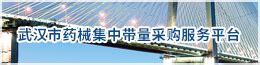 新版湖北省药械集中采购服务平台