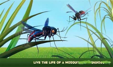 蚊子模拟器3D中文版_蚊子模拟器3D游戏中文汉化版（暂未上线） v1.0-嗨客手机下载站