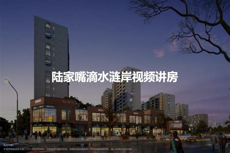2024上海陆家嘴滴水涟岸小区，配套指南，买房攻略