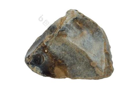 含燧石细晶白云岩_Flint-bearing Crystalline Dolomite_国家岩矿化石标本资源共享平台