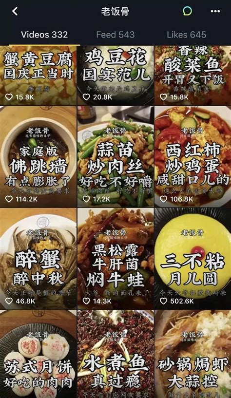 抖音“国宴天团”：让1000万人流口水的顶级中国菜，长啥样？_凤凰网