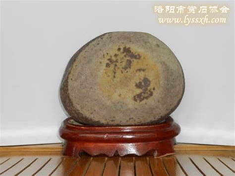 藏友家中收藏的奇石独一无二，足不出户就能欣赏到大自然灵巧手艺