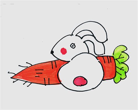 小兔子和胡萝卜简笔画图片进程（教师节绘画儿童画） - 有点网 - 好手艺
