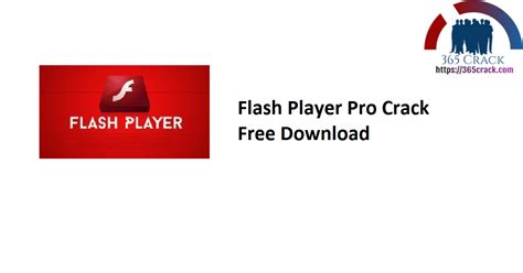 Flash Player Pro Crack 6 Free Download [2023 – 365Crack