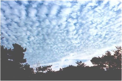 咦，这是什么云？观察下图，图中的云真的可能存在吗？ #140824-自然知识-知识百科-33IQ