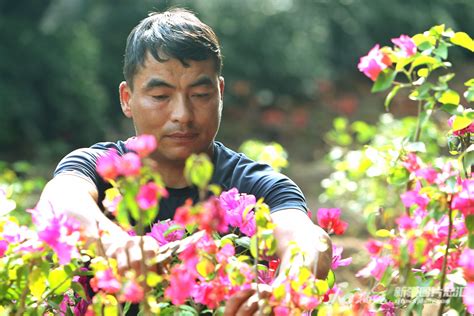 喀什市色满乡的“花农”两口子：花卉生意好，一年挣个20万元没问题！