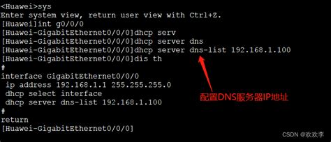 Windows Server DNS服务器配置_windows server dns配置-CSDN博客