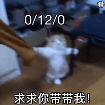 带我求带表情包图片