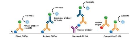 Nature immunoloy：新冠肺炎患者的单细胞免疫图谱 – 肽度TIMEDOO