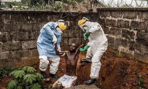 让非洲人民痛不欲生的病毒 埃博拉有多可怕?-搜狐大视野-搜狐新闻