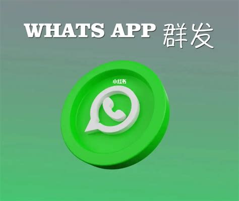 whatsapp群发受限制？该怎么解决？-跨境王营销助手